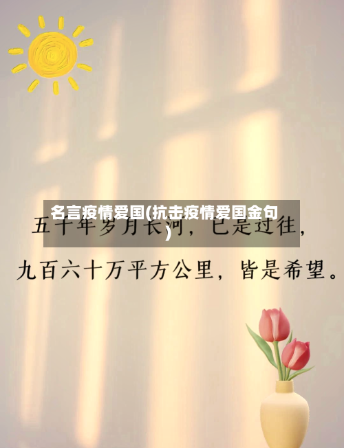 名言疫情爱国(抗击疫情爱国金句)-第3张图片