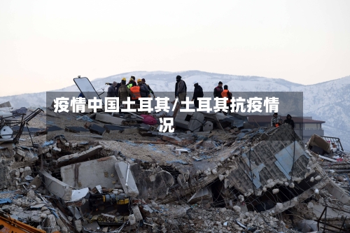 疫情中国土耳其/土耳其抗疫情况