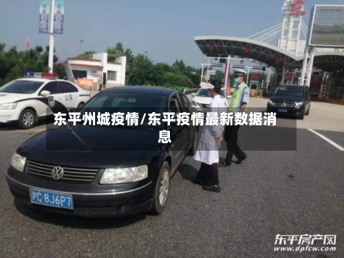 东平州城疫情/东平疫情最新数据消息-第3张图片