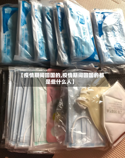 【疫情期间回国的,疫情期间回国的都是些什么人】