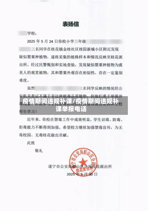 疫情期间违规补课/疫情期间违规补课举报电话-第2张图片