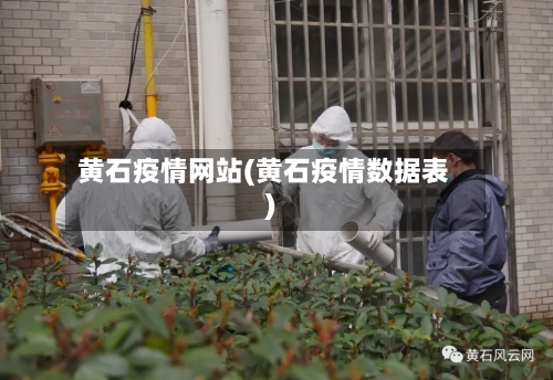 黄石疫情网站(黄石疫情数据表)-第2张图片