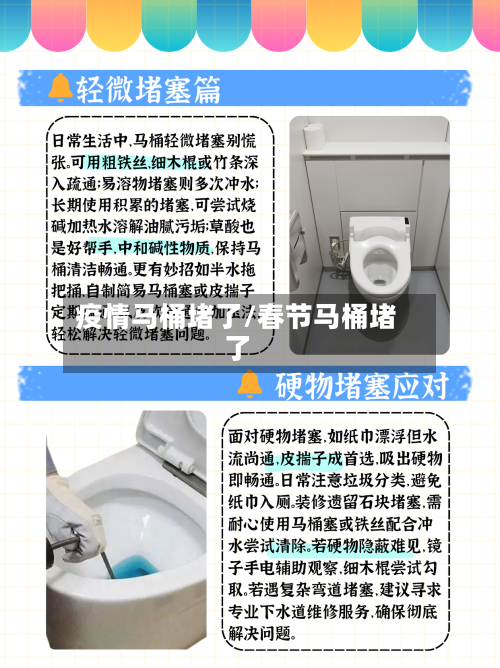 疫情马桶堵了/春节马桶堵了-第2张图片