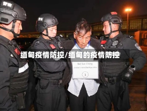 缅甸疫情防控/缅甸的疫情防控