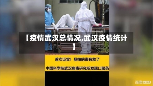 【疫情武汉总情况,武汉疫情统计】-第2张图片