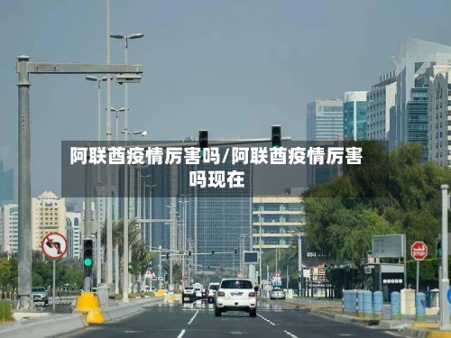 阿联酋疫情厉害吗/阿联酋疫情厉害吗现在-第2张图片