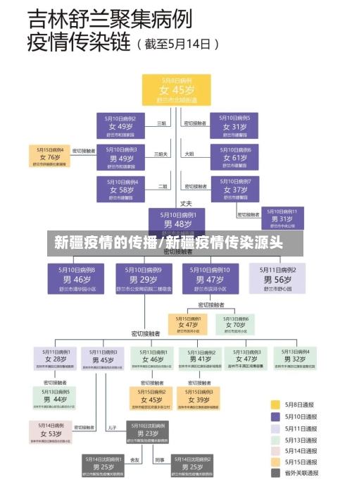 新疆疫情的传播/新疆疫情传染源头