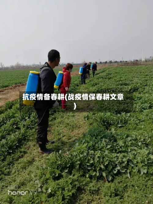 抗疫情备春耕(战疫情保春耕文章)-第2张图片