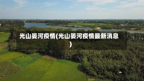 光山晏河疫情(光山晏河疫情最新消息)-第2张图片