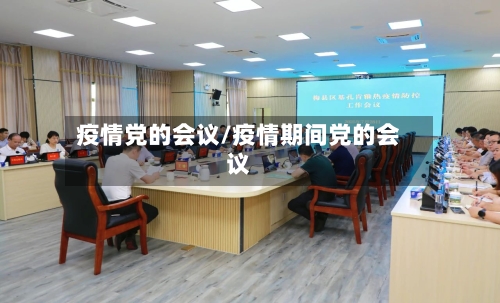 疫情党的会议/疫情期间党的会议-第2张图片