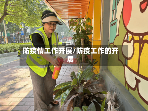防疫情工作开展/防疫工作的开展