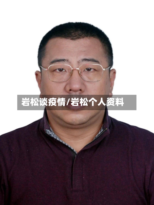 岩松谈疫情/岩松个人资料-第2张图片