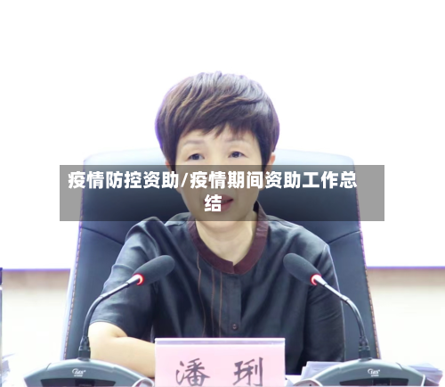 疫情防控资助/疫情期间资助工作总结