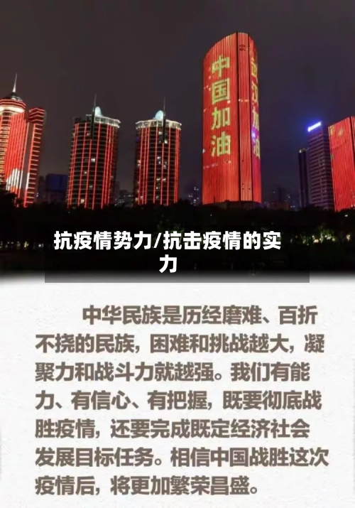 抗疫情势力/抗击疫情的实力