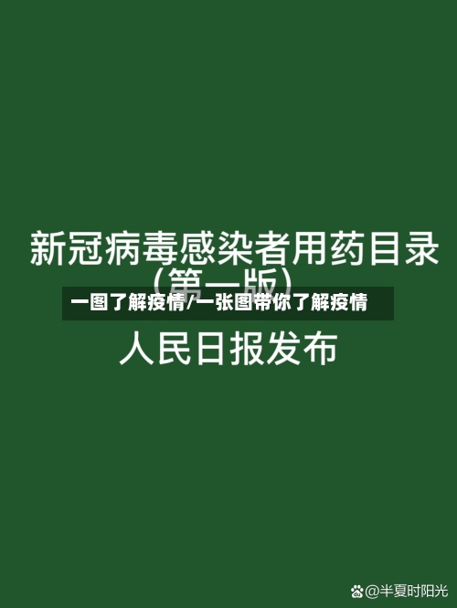 一图了解疫情/一张图带你了解疫情