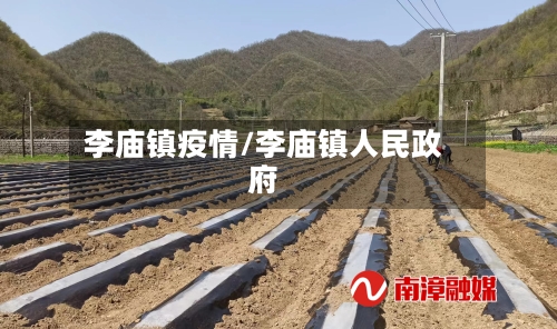 李庙镇疫情/李庙镇人民政府