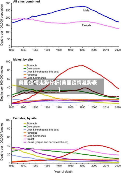 美国疫情走势分析(美国疫情趋势表)-第2张图片