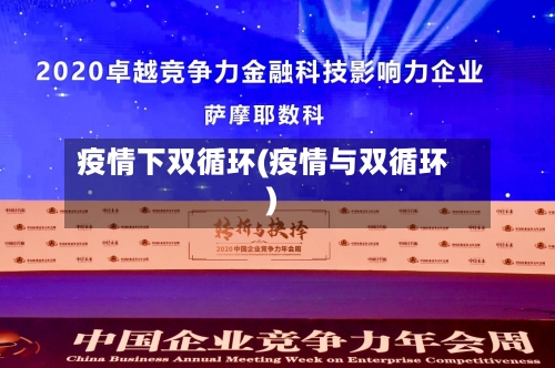 疫情下双循环(疫情与双循环)