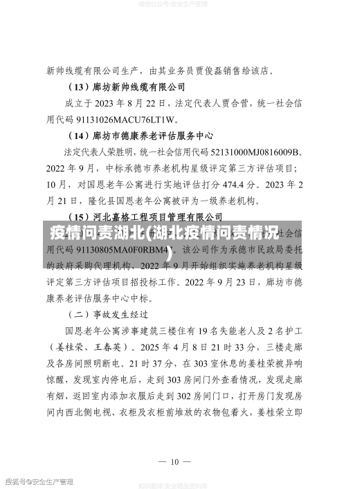 疫情问责湖北(湖北疫情问责情况)