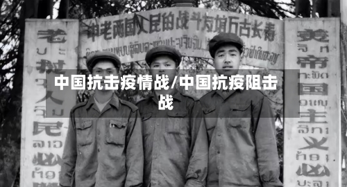 中国抗击疫情战/中国抗疫阻击战