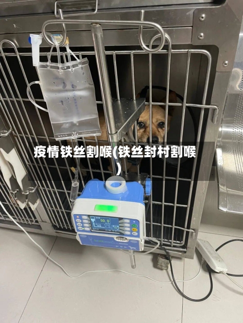 疫情铁丝割喉(铁丝封村割喉)