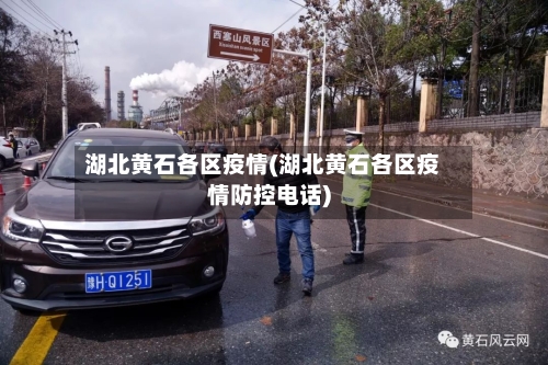 湖北黄石各区疫情(湖北黄石各区疫情防控电话)