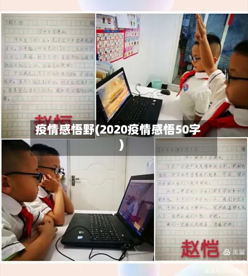 疫情感悟野(2020疫情感悟50字)-第3张图片