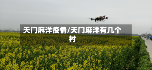 天门麻洋疫情/天门麻洋有几个村