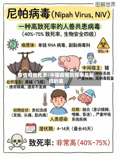 疫情的致死率/中国疫情致死率是最低的嘛-第2张图片