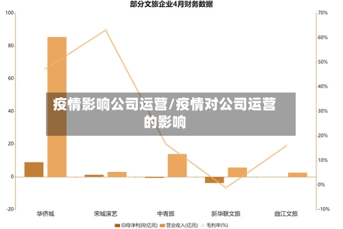 疫情影响公司运营/疫情对公司运营的影响