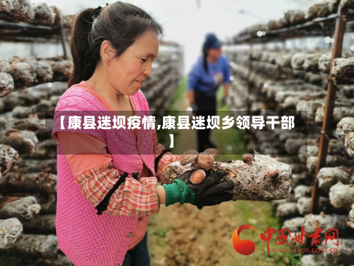 【康县迷坝疫情,康县迷坝乡领导干部】
