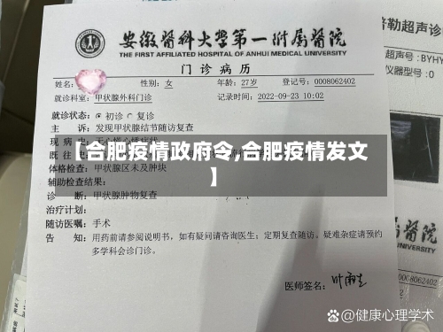 【合肥疫情政府令,合肥疫情发文】-第3张图片