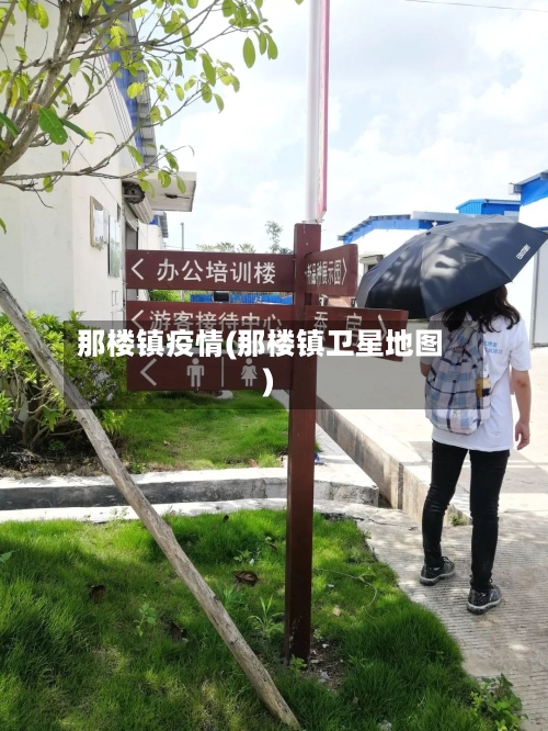 那楼镇疫情(那楼镇卫星地图)-第2张图片