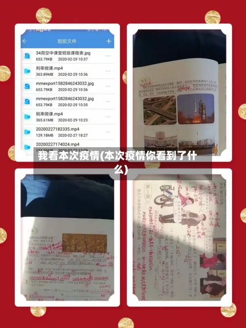 我看本次疫情(本次疫情你看到了什么)