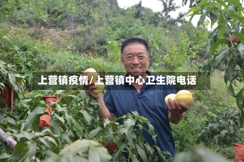 上营镇疫情/上营镇中心卫生院电话