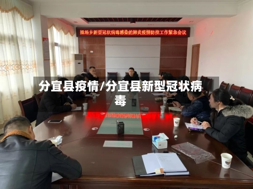 分宜县疫情/分宜县新型冠状病毒