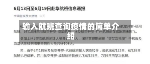 输入航班查询疫情的简单介绍-第2张图片