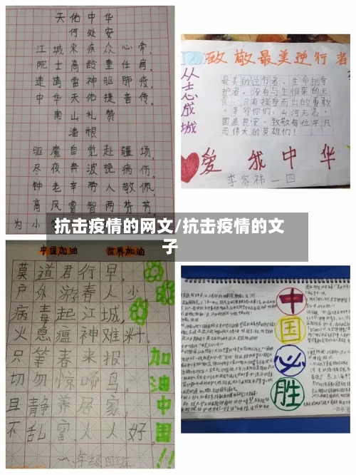 抗击疫情的网文/抗击疫情的文子