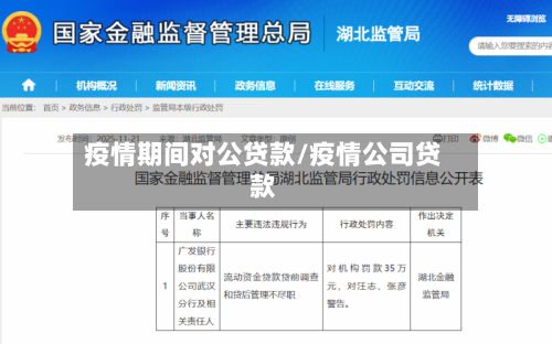 疫情期间对公贷款/疫情公司贷款