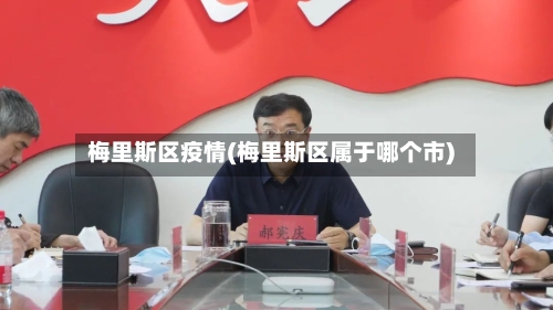 梅里斯区疫情(梅里斯区属于哪个市)