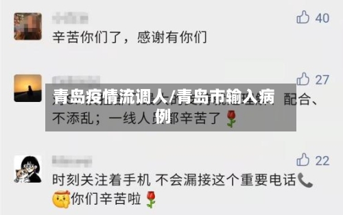 青岛疫情流调人/青岛市输入病例